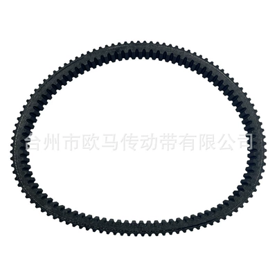 Tgb1000 L1009000004 927232 – Belt