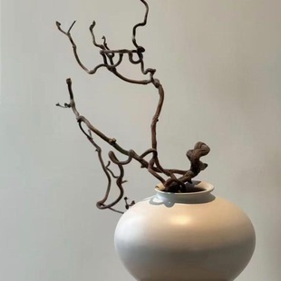 ����֦����������צ�r��֦ˮ�B���B��֧��֦���̈́e���҃ȿ͏d�廨