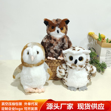 跨境仿真猫头鹰毛绒玩具鸣角鸮公仔仓鸮玩偶儿童陪伴娃娃摆件批发