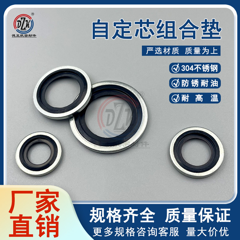 JB982-77Z组合垫圈304不锈钢丁晴橡胶自定芯组合垫圈油封组合垫片