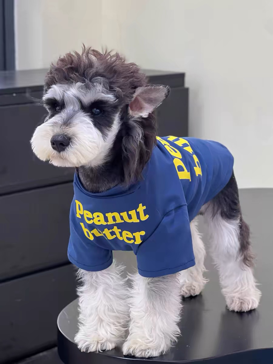 ddda726c-eb27-4a90-b6d7-1135c9982ab3.jpe