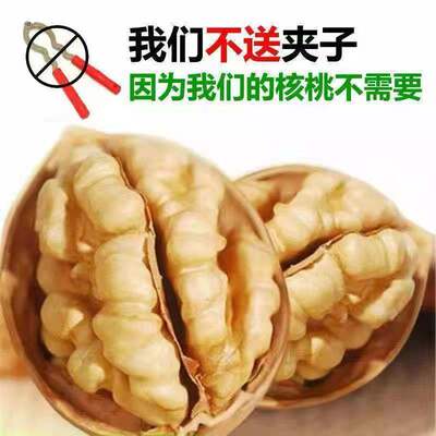 [new goods]Xinjiang mosaic walnut 185 Cardboard Walnut Dry Fruits Full Walnut wholesale