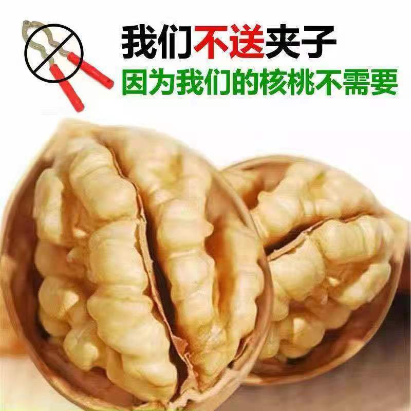 [new goods]Xinjiang mosaic walnut 185 Cardboard Walnut Dry Fruits Full Walnut wholesale