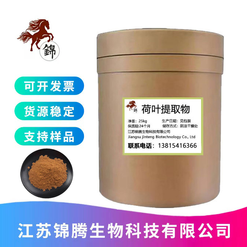 现货供应 荷叶提取物 荷叶粉 荷叶提取物 食品级 量大从优