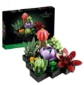 High Quality - Succulent【Color Box Packaging】