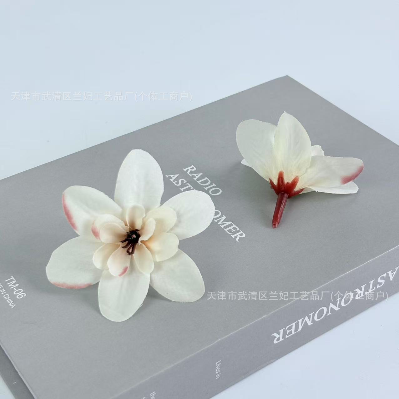 Orquídea de simulación cabeza de comida plato flor de corona de novia flor de pecho flor de muñeca hacer caja de regalo flor de ópera flor de pinza