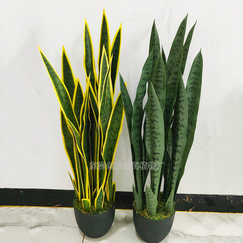 出口供應 仿真盆栽虎皮蘭 高仿植物膠葉假樹龍舌蘭 室內綠化擺件