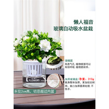 �d�ӻ����Բ���ˮ��ֲ��lؔ������G�}���F���҃ȃ����՚�Gֲ