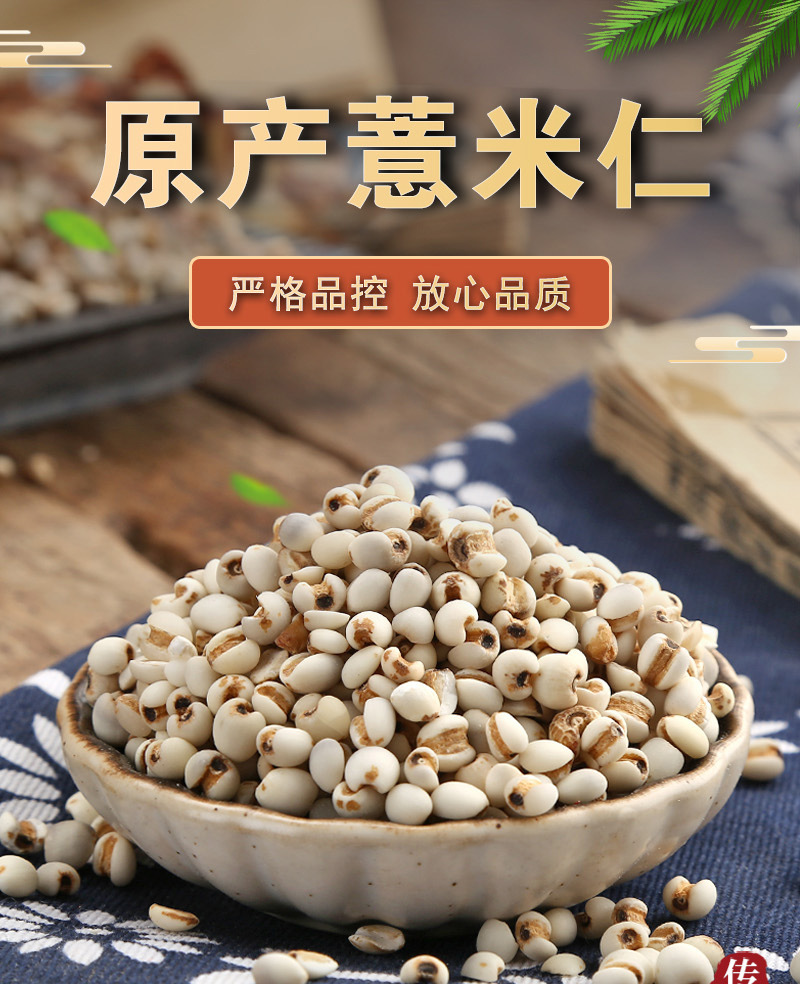 Coix Seed (Coix lacryma-jobi) — Roasted Puffed Yi Mi Ren, 500g Loose Food Herb key features