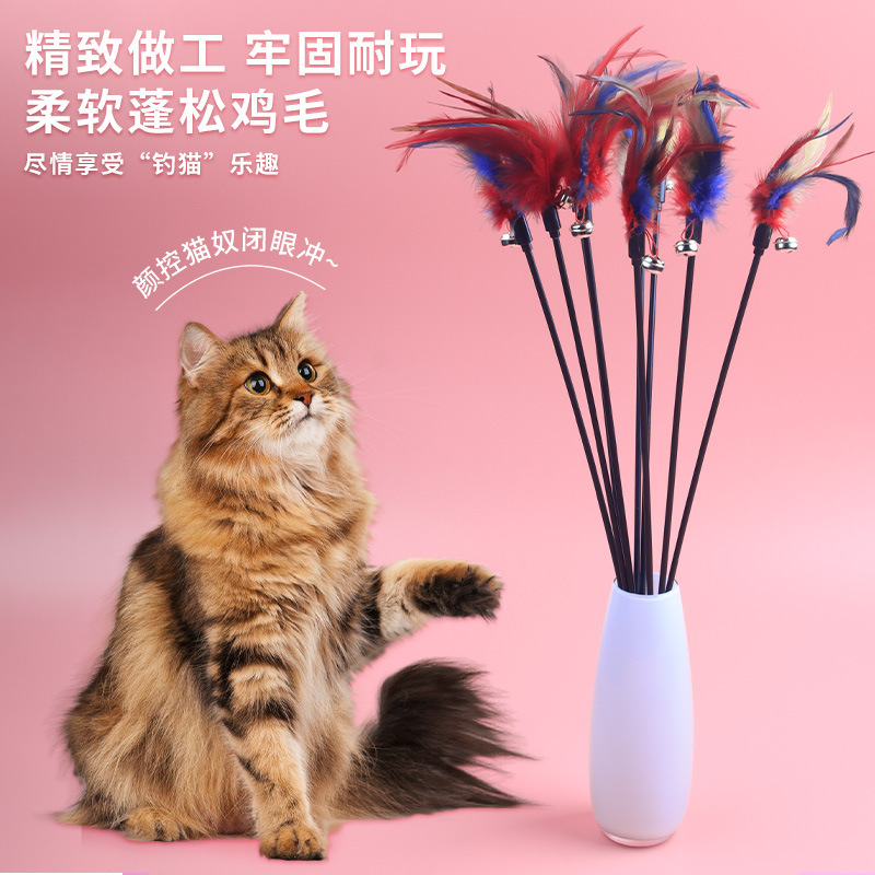 A batch of funny cat stick cat toy interactive long pole colorful feather with bell since hi boredom pet supplies A batch of funny cat stick cat toy interactive long pole colorful feather with bell since hi boredom pet supplies