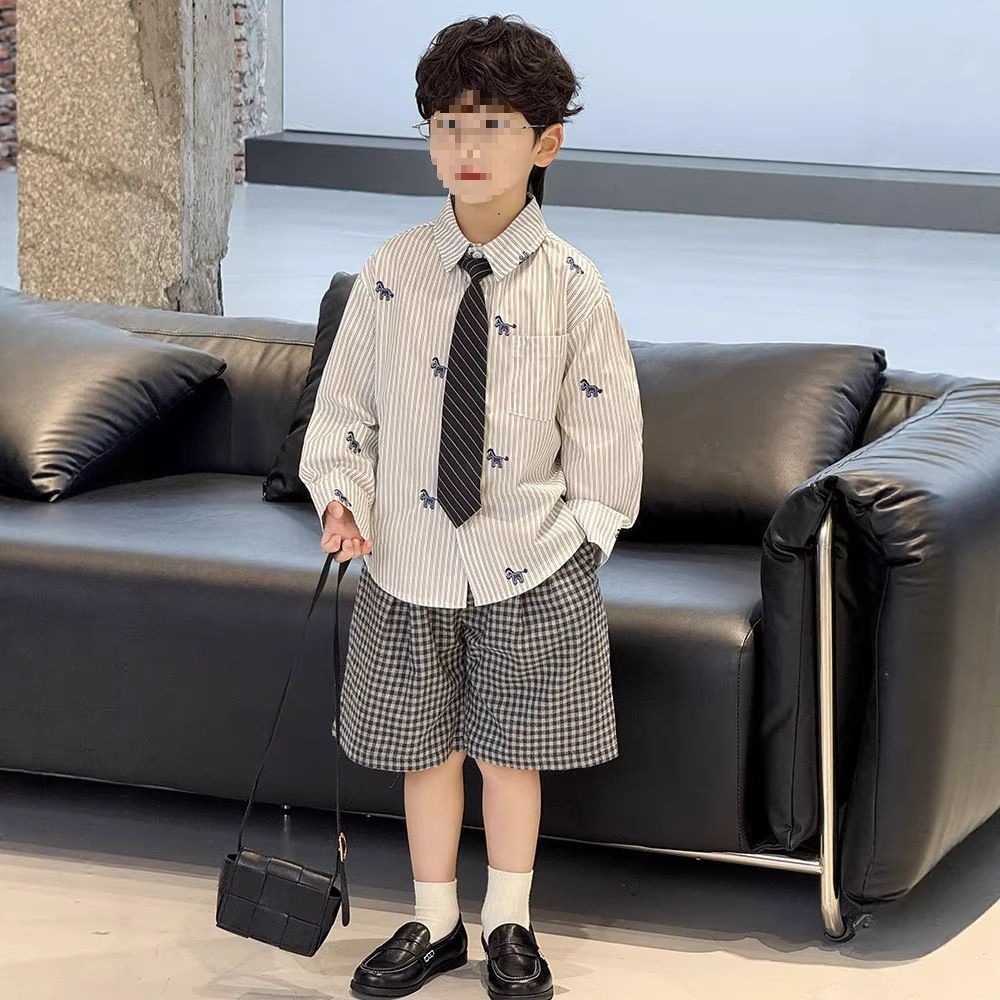 Boys' Vest and Shorts Set, New Summer Style, Korean Style, Gray Vest, Casual and Stylish Long-Sleeved Shirt