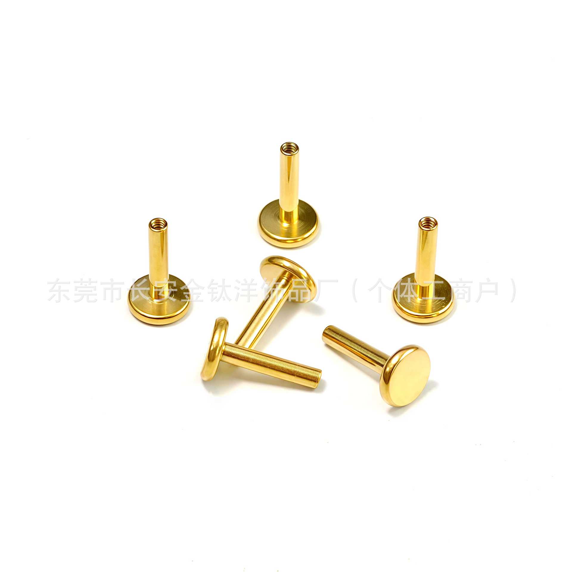 Pointed titanium steel lip stud product view