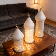 �羳�Ж|Ħ����Fˇ��ɫ�L���U��LEDҹ���Ҿ��b��\����Շ���