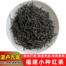 电商带货批发新茶闽北红茶散装细条形口感顺滑低价位蜜香小种红茶