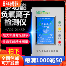 高精度2500空气浓度检测仪WST甲醛检测仪便携式负氧离子-C德国芯