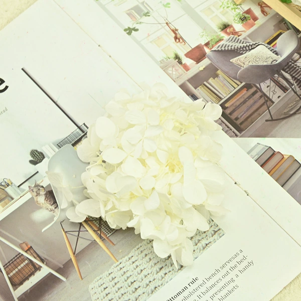 B -level lime light white