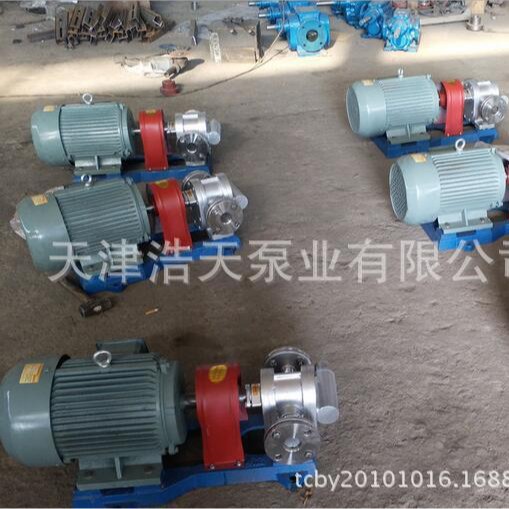 带安全阀齿轮泵2CY 不锈钢齿轮泵 高压齿轮泵 中压齿轮泵