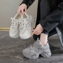 �ϵ��\��Ь�¿�ۺÿ�2026����͸�����eЬ�_�޺�״�����������