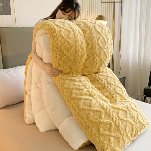 Winter Thick Tafette Fleece Blanket Core Milk Fleece Double-Sided Fleece Winter Blanket Warm Lamb Wool Spring and Autumn Quilt Cotton Cover