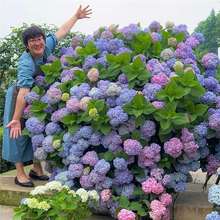 شɫ򻨷Nʰߔ͸ߜؑ׷N҃ͥԺ