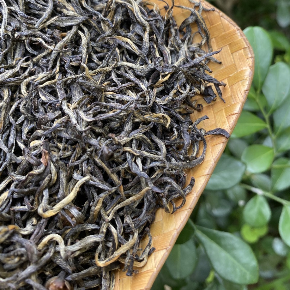 新茶武夷红茶桐木关金骏眉花香梅占茶叶厂家批发500克