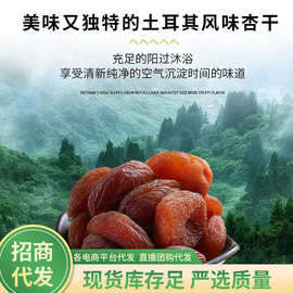 黑杏干250g无核红杏脯干甜杏肉休闲零食果干蜜饯