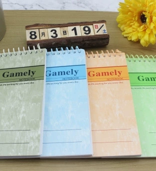 A5 coil book (side) 50 pages of notepad this diary notebook office supplies wholesale