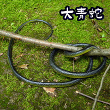 仿真大青蛇1.23米玩具蛇纹路升级款创意整蛊吓人玩具节日仿真道具