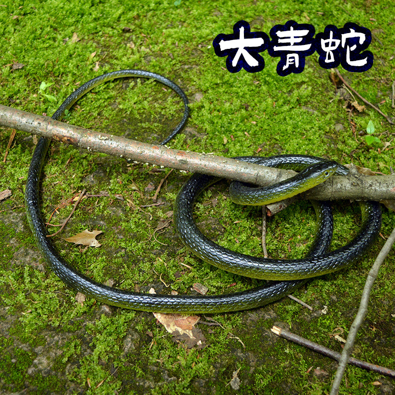 Simulation Big Green Snake 1.23 m Toy Snake Pattern Upgrade Creative Trick Scary Toy Festival fake Props