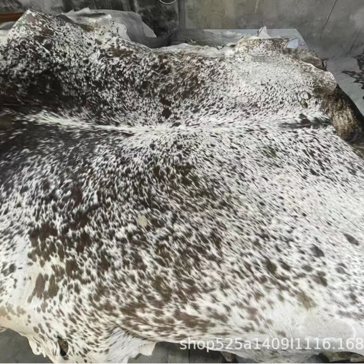 2025-04-26 13:17:10.jpg