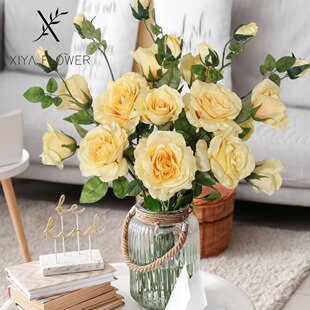 1֧3�^õ�� ���컨 PE���| �����w�S���|����ֲ�� �����b�Ʒ�|