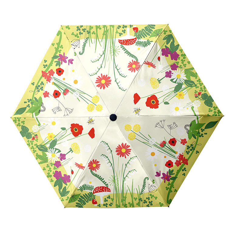 ɡСɱЯ̫ɡڽɹȤζ㽶۵ڴɡ