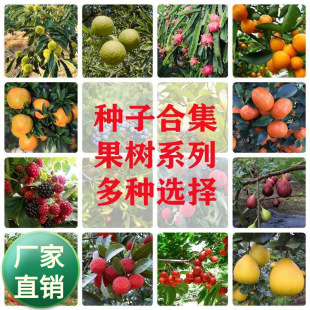 ����N�ӻ����N�Ӹ������Ӱ���������ٙ��ҙ��ʗ���N���ļ�ͥԺ