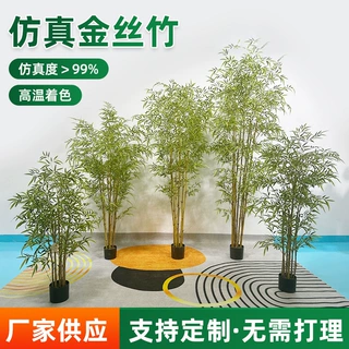 仿真金丝竹室内装饰假竹子隔断屏风造景加密盆栽竹新中式客厅绿植