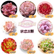 ֲȺGֲ҃׻BؔMMҵ¶{B