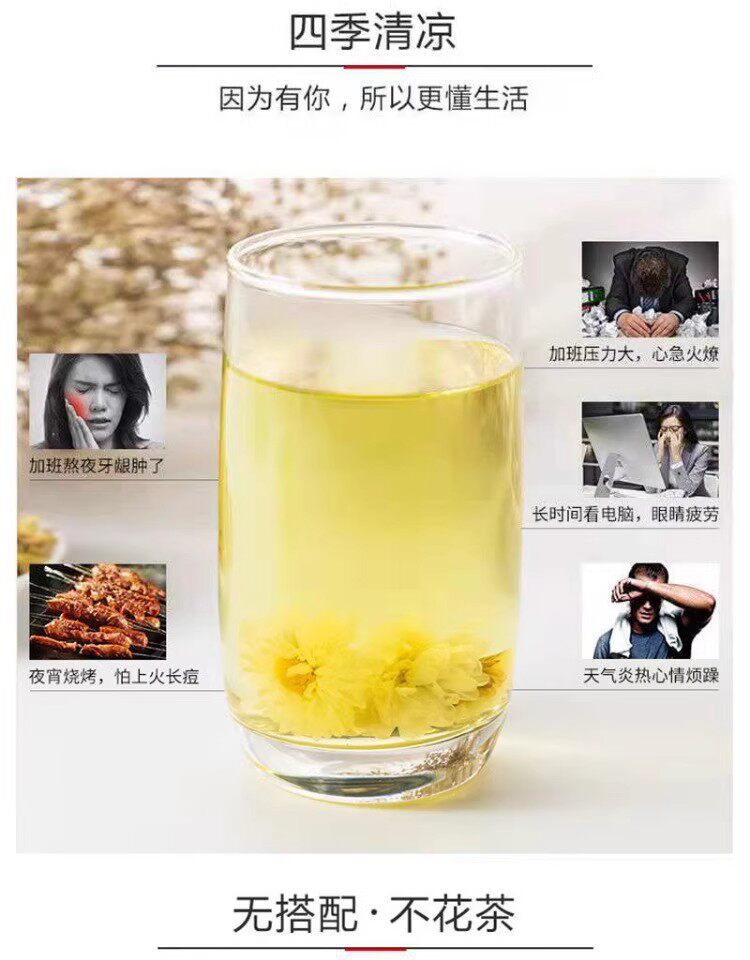 Hang Bai Ju Chrysanthemum Tea Premium Tongxiang White Chrysanthemum Loose Flowers 1000g for Daily Brewing specifications