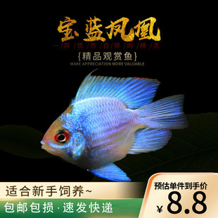 ���{�P�����~�����_�Lβ�{�������Ľ���С�͟Ꭷ�^�p�ݸ׌����~