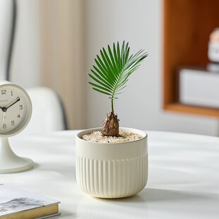 �F�䌚�������k���ҹ�λ�Gֲ���ܺ��B���ļ��͟��͕�ֲ������