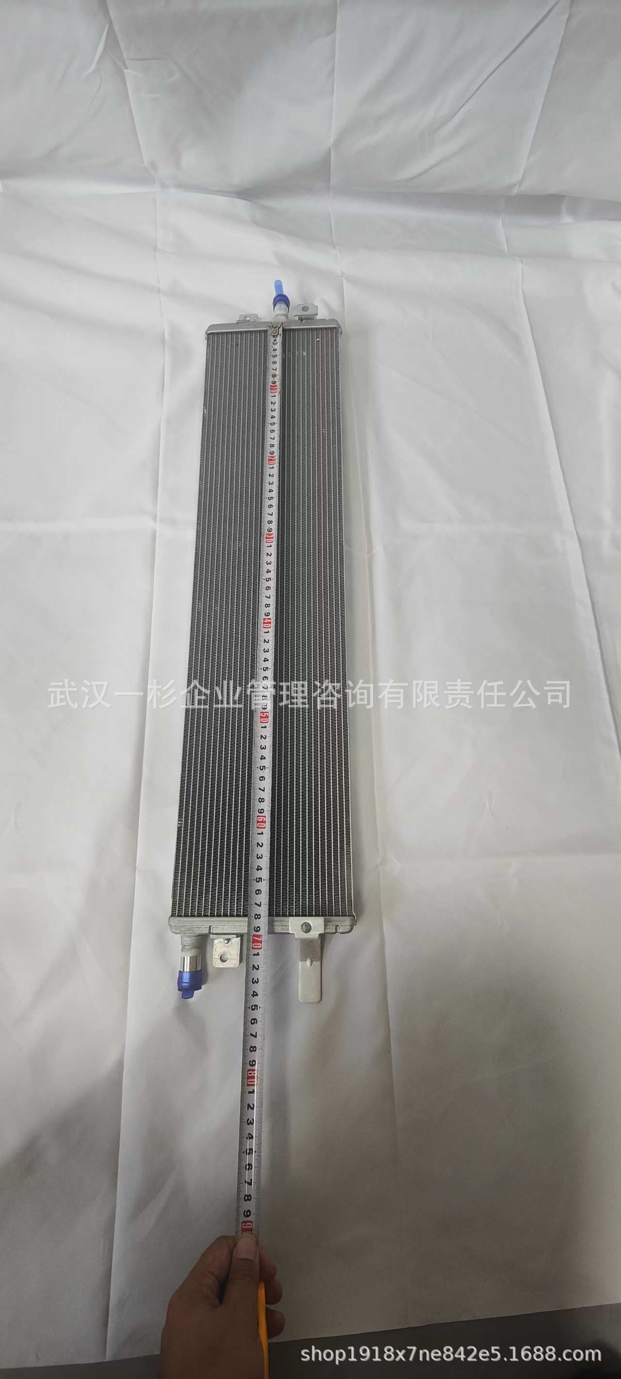 Direct sales from the original manufacturer B100006560 B016691 motor radiator for Yixuan MAX/Haoji