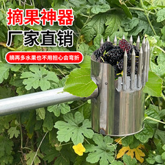 新商品のナツメを摘み取る専用の神器大全酸ナツメを摘み取る道具ステンレスの果物を摘み取る器の柏の種はナツメの神器を摘みます。