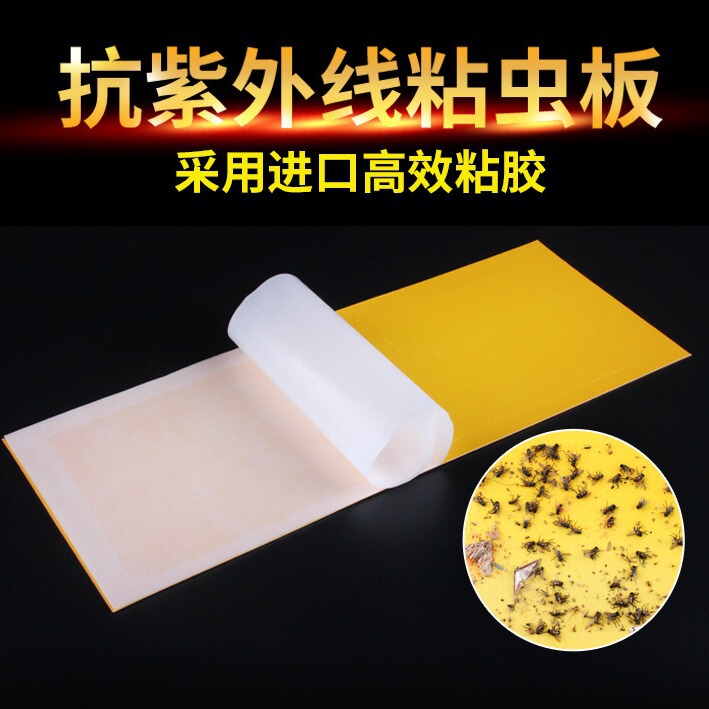 Fly Killer Lamp Special Sticky Paper Mosquito Killer Lamp Sticky Insect Board Commercial Restaurant Sticky Trap Mosquito Killer Lamp Special Sticky Paper Manufacturer