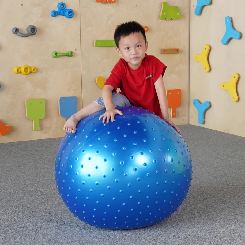 Entrenamiento sensorial infantil tactile masaje yoga bola de dragón juguetes de pelota equipo de acondicionamiento físico granular jaula bola de dragón
