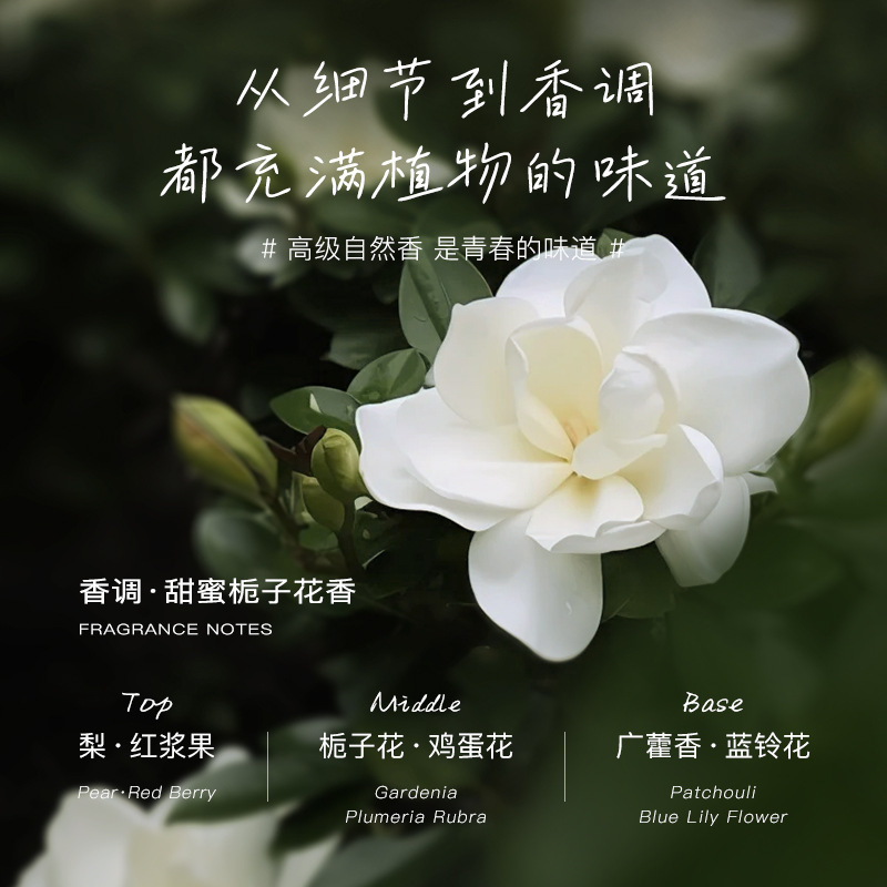 蛇油保湿手部特护凝胶补水保湿滋润清爽不油腻护手霜代发厂家直销|undefined