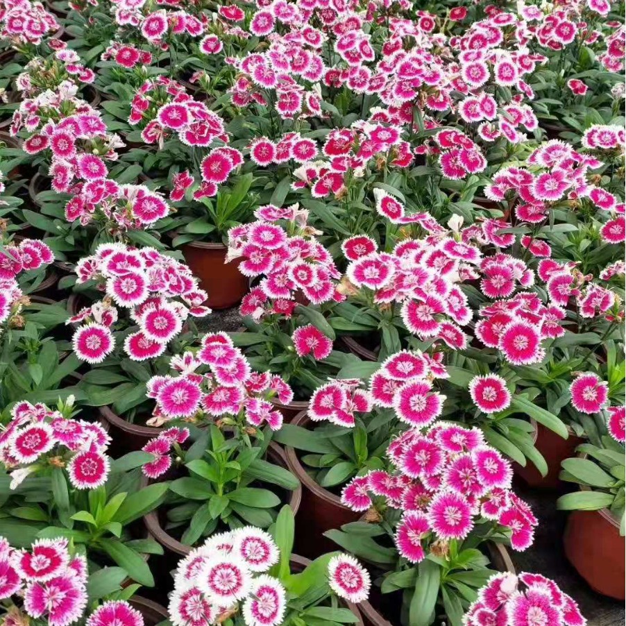 2024-03-26 22:02:34.jpg