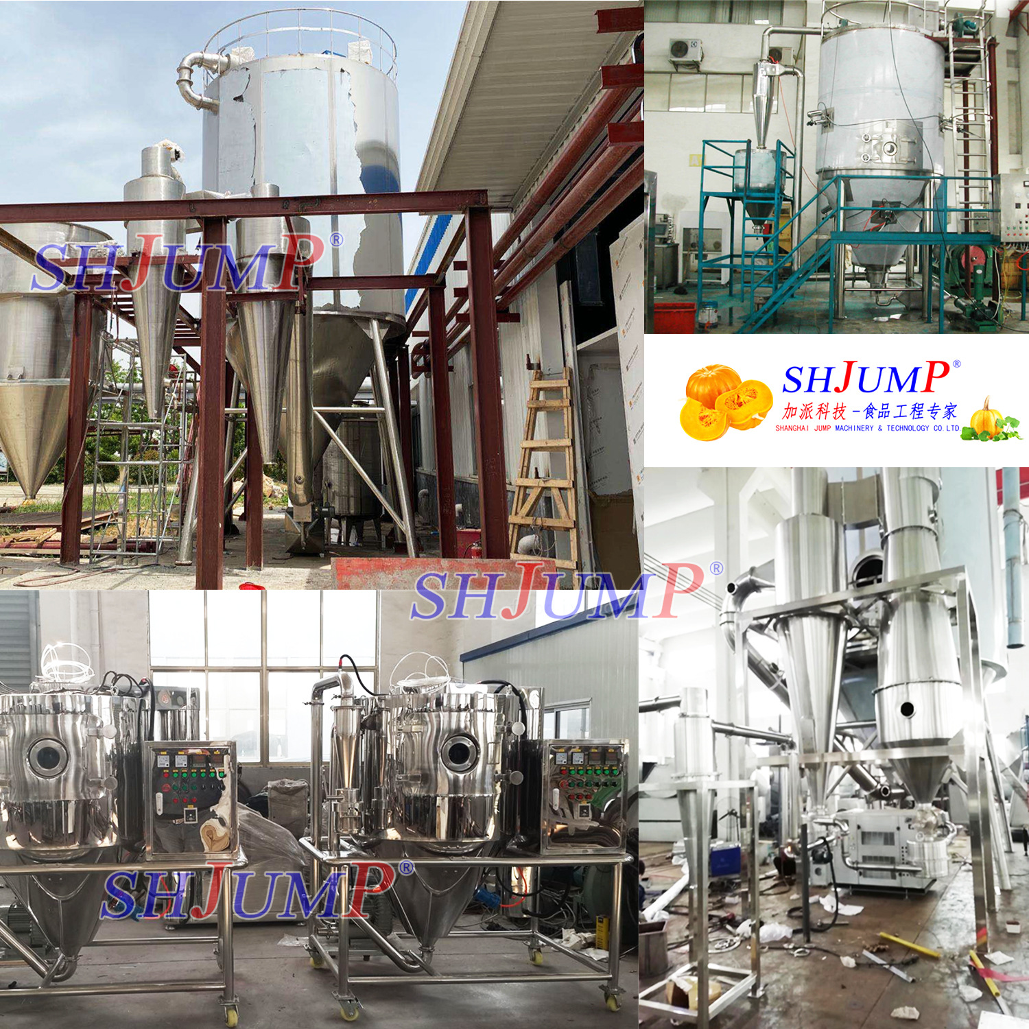 南瓜粉加工生產線2