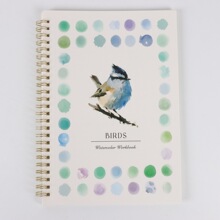 �羳��Ʒ WATERCOLOR WORKBOOK ˮ�ʌ�����ɫ�� ˮ�ʉTɫ�����İ�