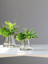 �F���������滨ˇ�[���Ƶ�������PǢՄ���[���b�