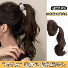 ^ٰl^WtƤ˱Pl^lɱPlȦ