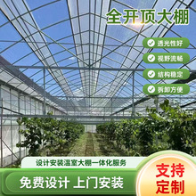 ȫ�_픴�����Ҵ����߲˜������B�w���ܷNֲ�ɹ�͸�����Ǽ�䓹�