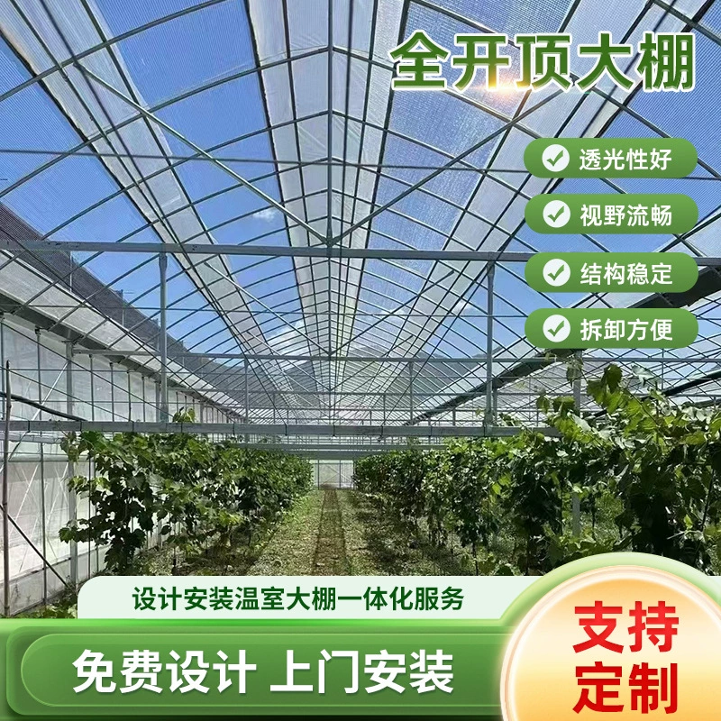 Полностью открытая крыша теплицы теплицы овощные теплицы теплицы цельноцветные посадки теплицы стабильная структура